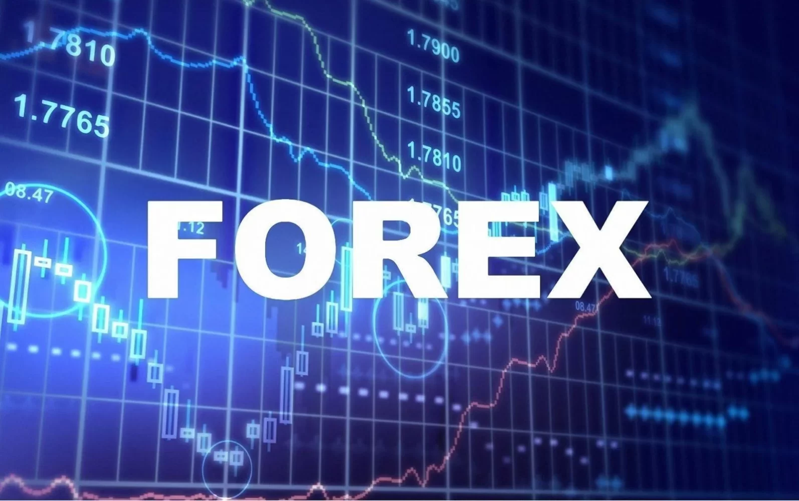 Почему сложно выбрать фондового брокера для торговых операций на Форексе